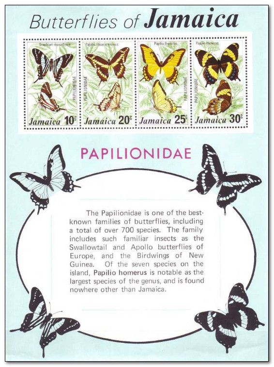 Butterflies of Jamaica