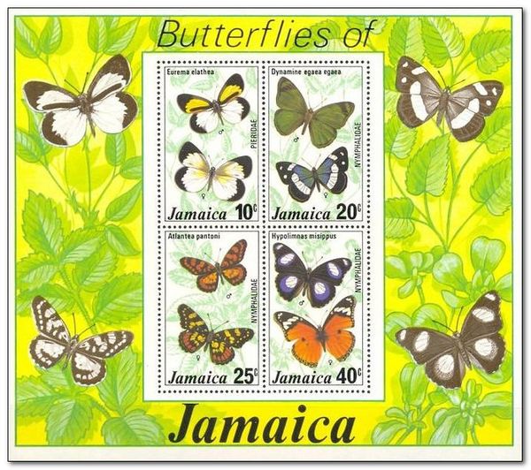 Butterflies of Jamaica