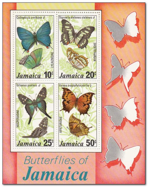 Butterflies of Jamaica