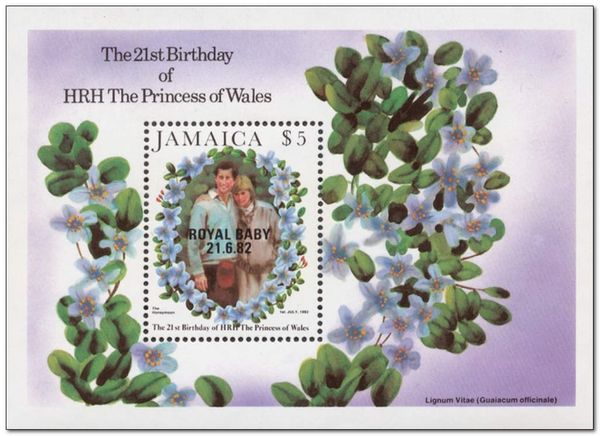 Honeymoon Photograph overprinted ROYAL BABY 21.6.82