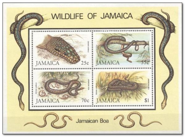 WWF Snakes