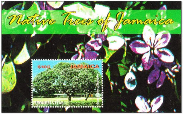Lignum Vitae (Guaiacum officinale)