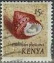 Strawberry Top Shell (Clanculus puniceus)