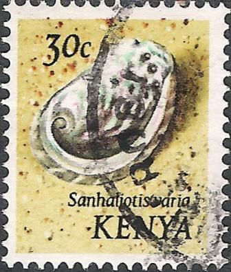 Variable Abalone (Sanhaliotis varia)