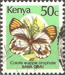 Smoky Orange Tip (Colotis euippe omphale)