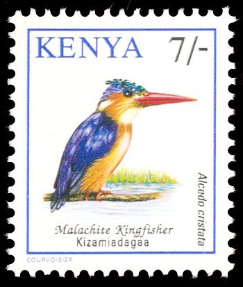 Malachite Kingfisher (Corythornis cristatus)
