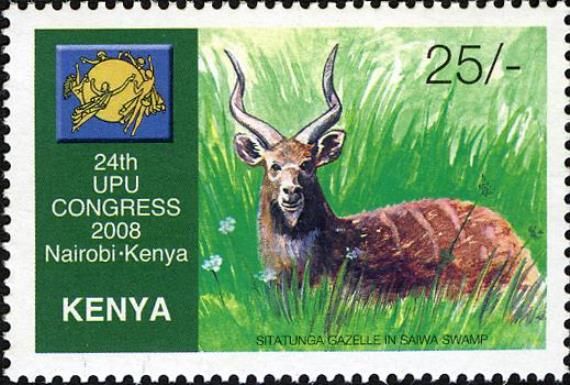 Sitatunga (Tragelaphus spekii)