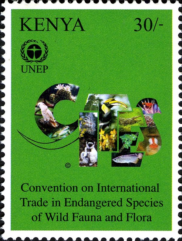 40th Anniversary of United Nations Environmental Programme