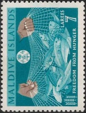 Fish in net