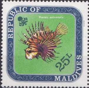 Antennata Lionfish (Pterois antennata)