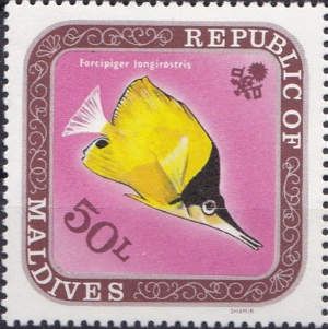 Longnose Butterflyfish (Forcipiger longirostris)