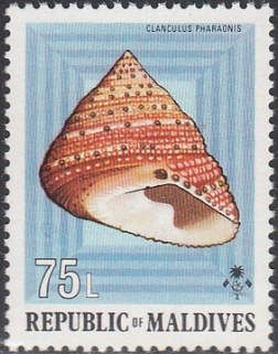 Strawberry Top Shell (Clanculus pharaonis)