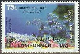 Protect the reef