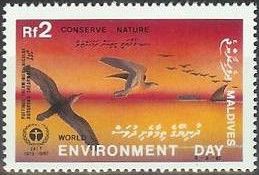 World Environment Day