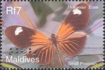 Red Postman (Heliconius erato)