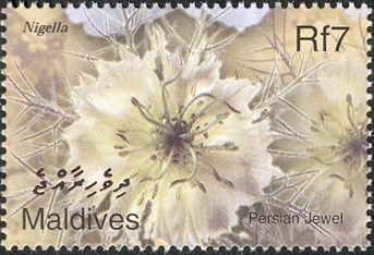 Persian Jewel (Nigella)