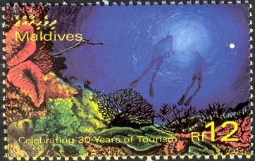 Celebrating 30 years of tourism - pair of scuba divers