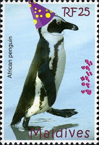 African Penguin (Spheniscus demersus) with painted Carnival