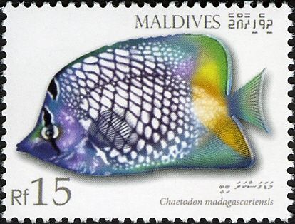 Madagascar Butterflyfish (Chaetodon madagascariensis)