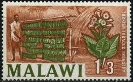 Turkish tobacco industry