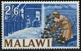 Cotton industry