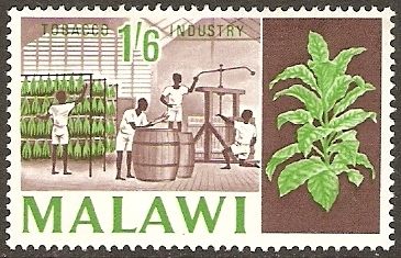 Curing tobacco