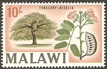 Forestry, Afzelia