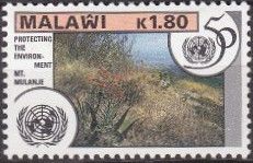 Protecting the Environment, Mt. Mulanje