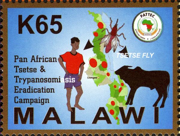 Pan-African Tsetse & Trypasonomiasis Eradication Campaign
