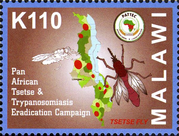 Pan-African Tsetse & Trypasonomiasis Eradication Campaign