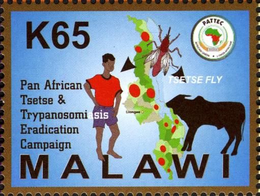 Pan-African Tsetse & Trypasonomiasis Eradication Campaign