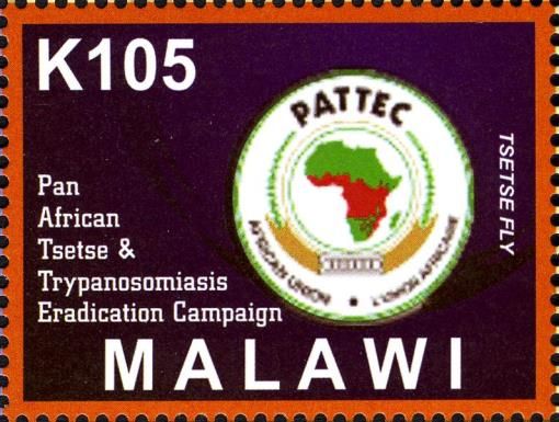 Pan-African Tsetse & Trypasonomiasis Eradication Campaign