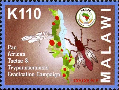 Pan-African Tsetse & Trypasonomiasis Eradication Campaign