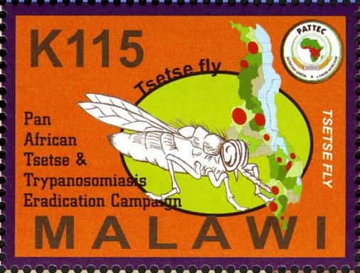 Pan-African Tsetse & Trypasonomiasis Eradication Campaign