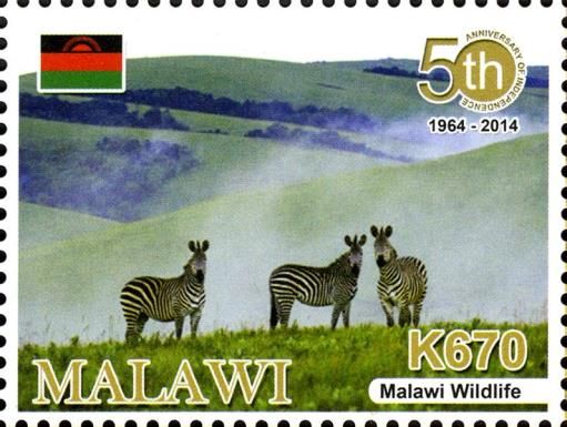 Malawi Wildlife