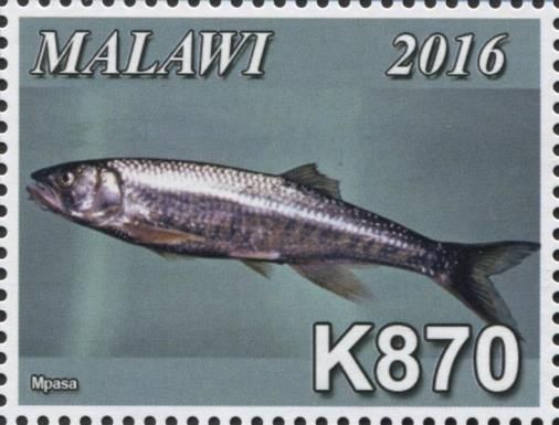 Mpasa