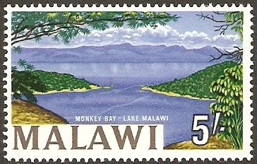 Malawi Butterflies
