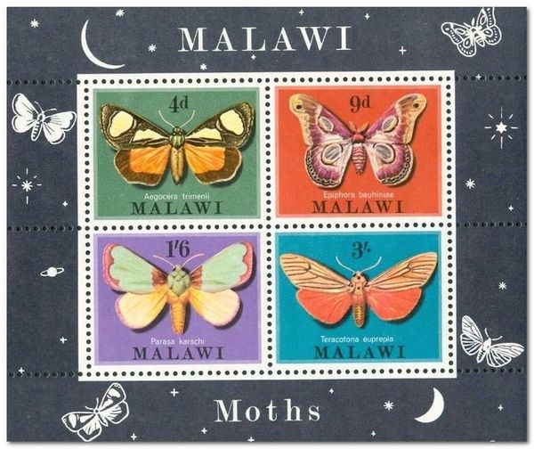 Moths of Malawi