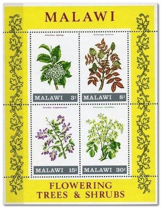 Flowering Treews and Shrubs