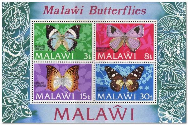 Malawi Butterflies