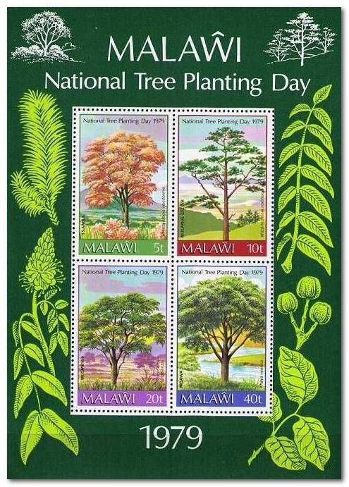 National Tree Planting Day