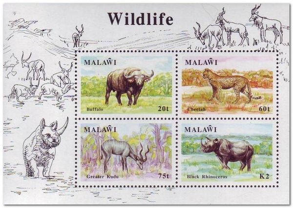 Wildlife