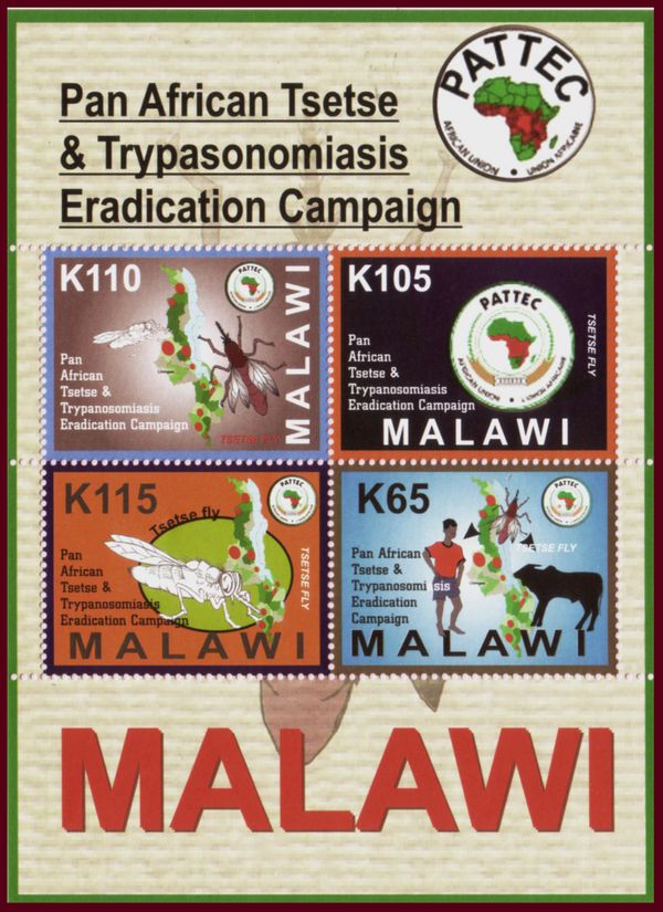 Pan-African Tsetse & Trypasonomiasis Eradication Campaign
