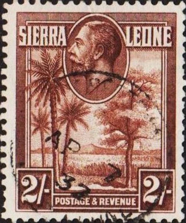 Palms and Kola Tree