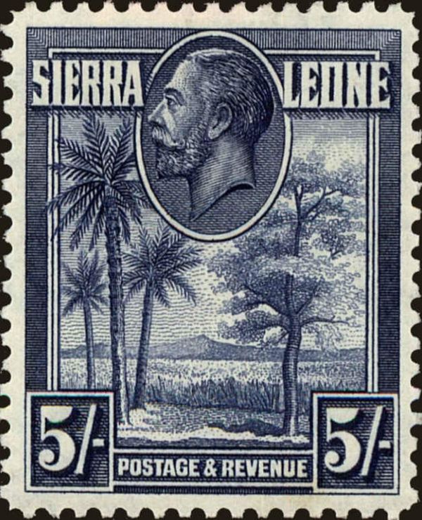 Palms and Kola Tree