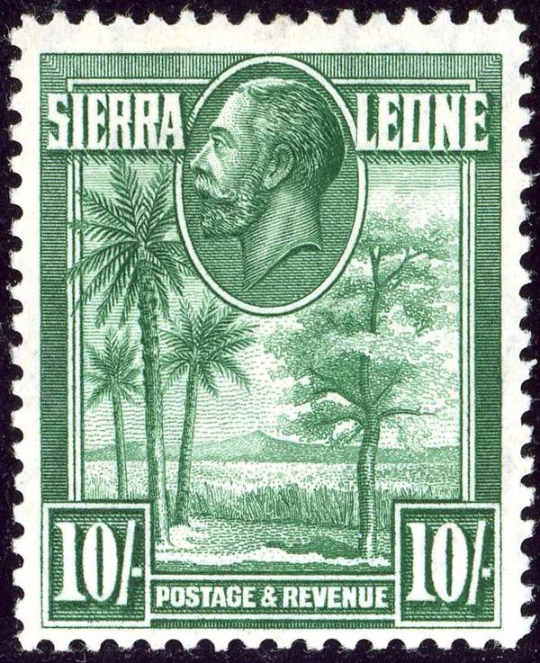 Palms and Kola Tree