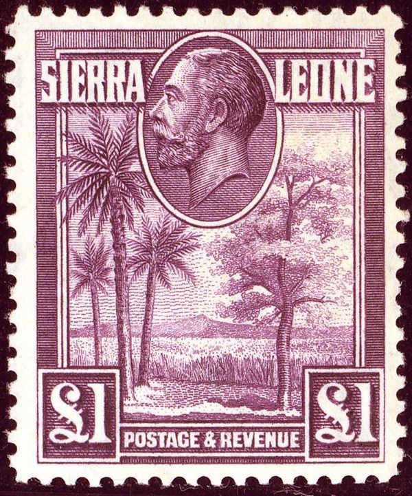 Palms and Kola Tree