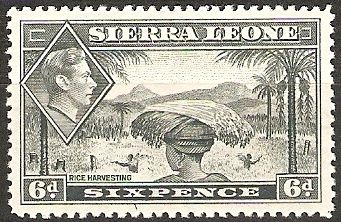 Rice Harvesting