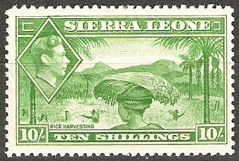 Rice Harvesting