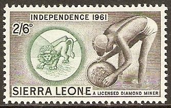 A licensed diamond miner